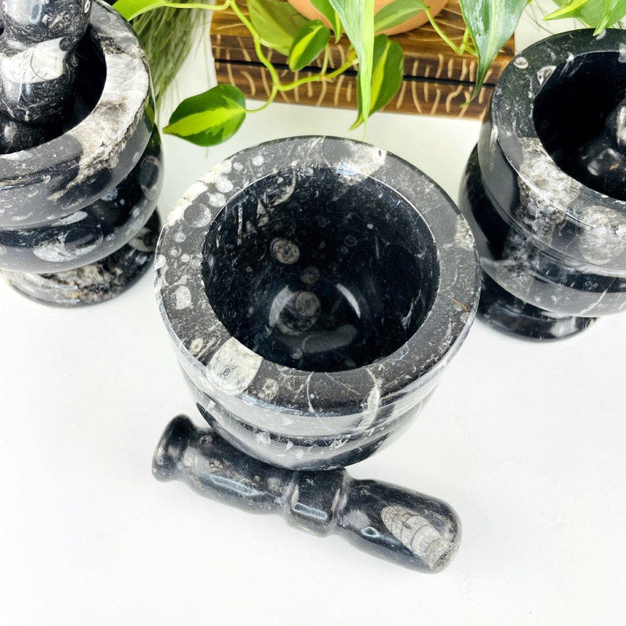 Orthoceras Fossil Mortar and Pestle