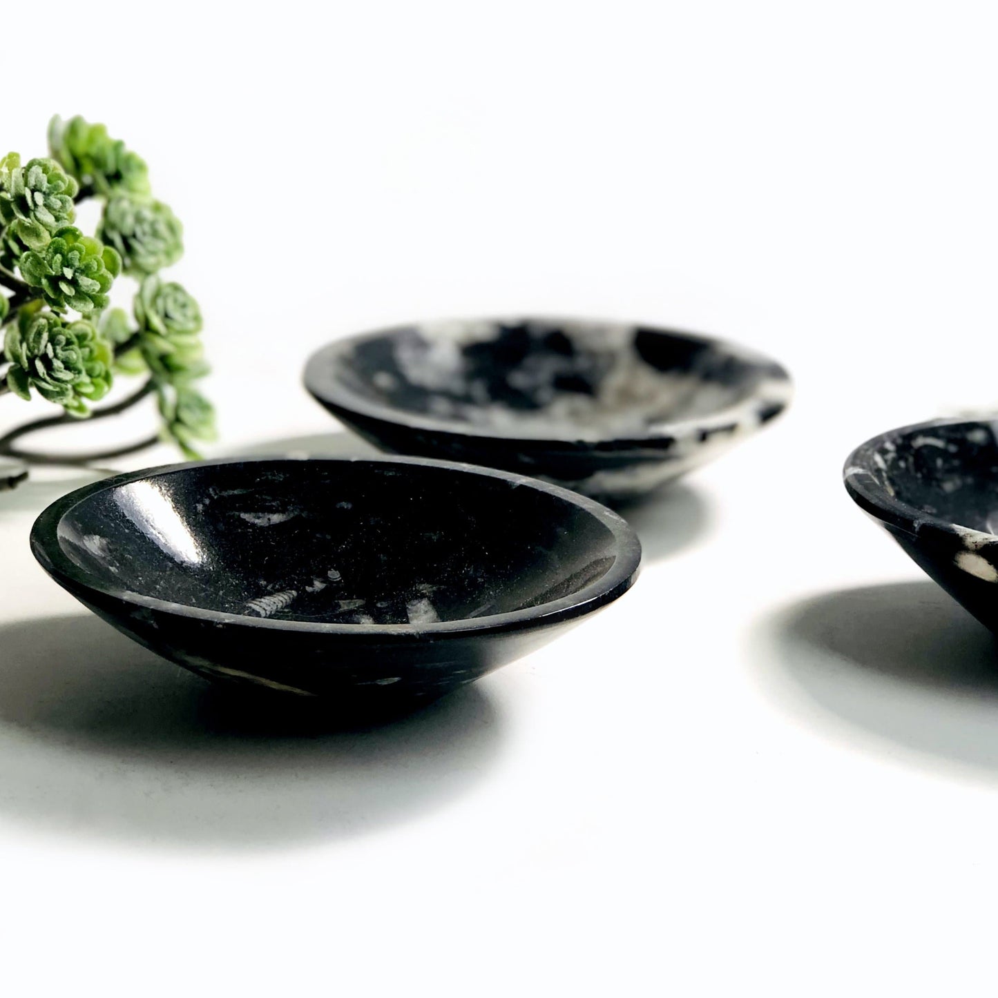 Orthoceras Polished Bowl - Small 10CM (RK6A-63)
