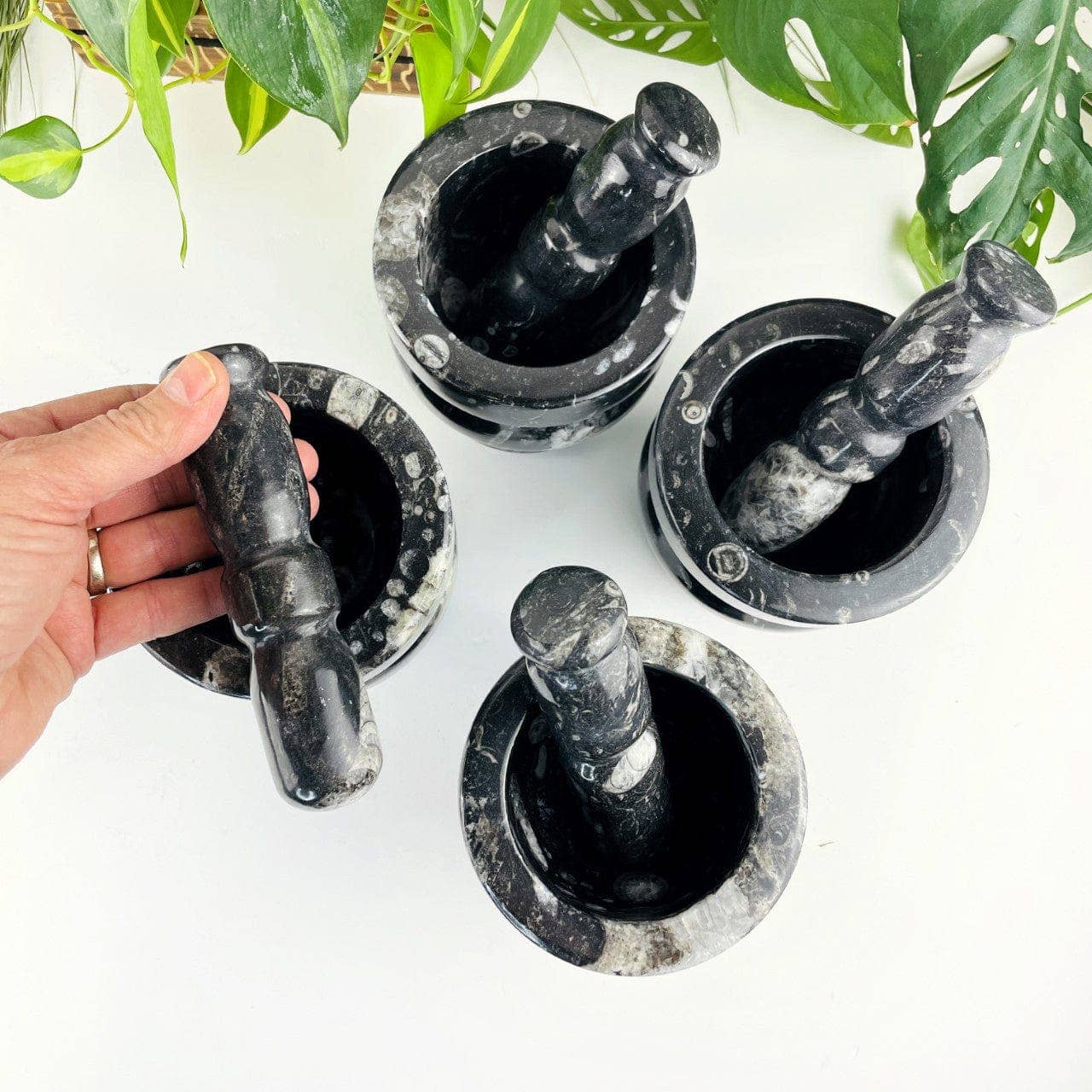 Orthoceras Fossil Mortar and Pestle
