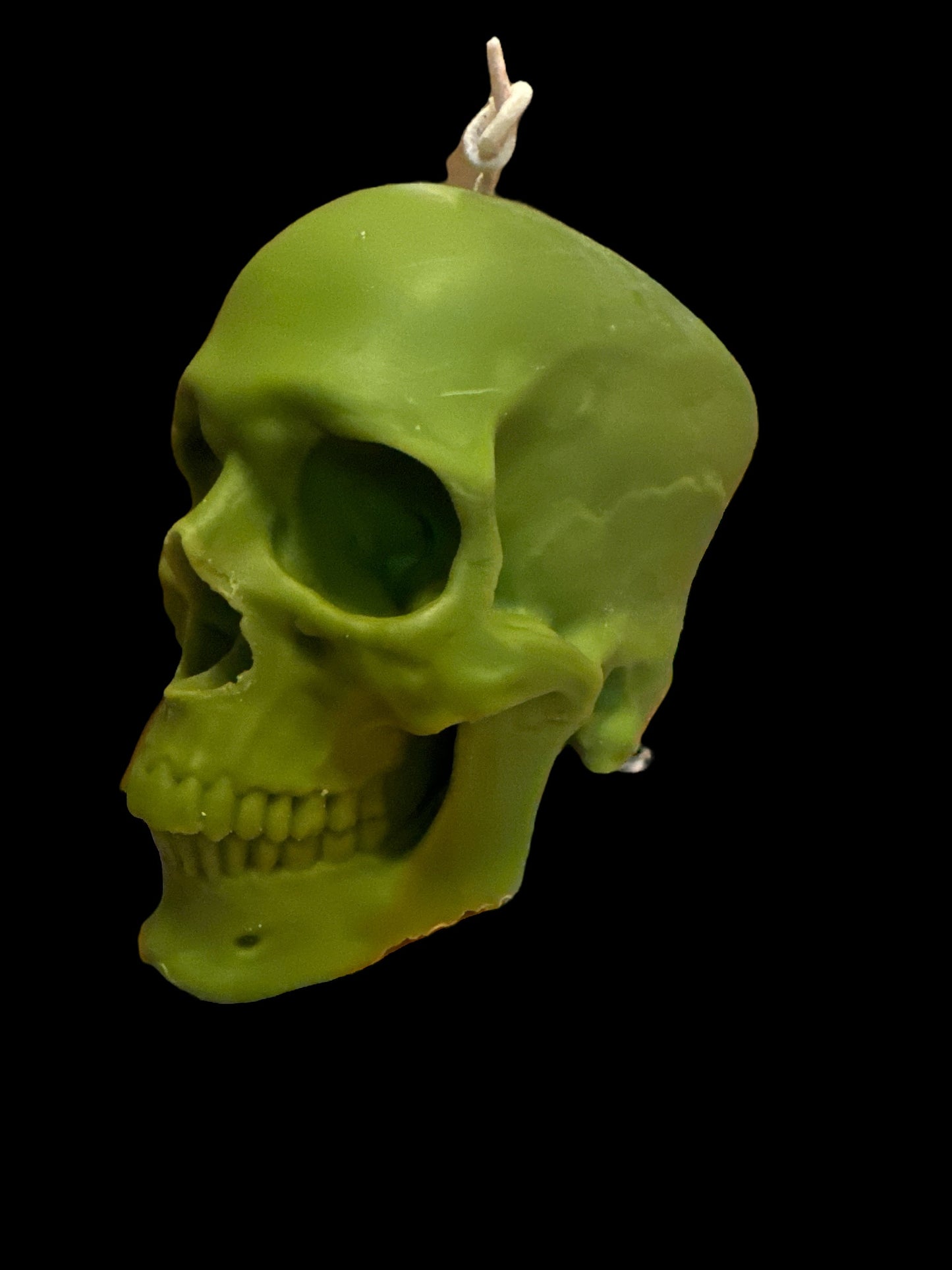 Skull Life size
