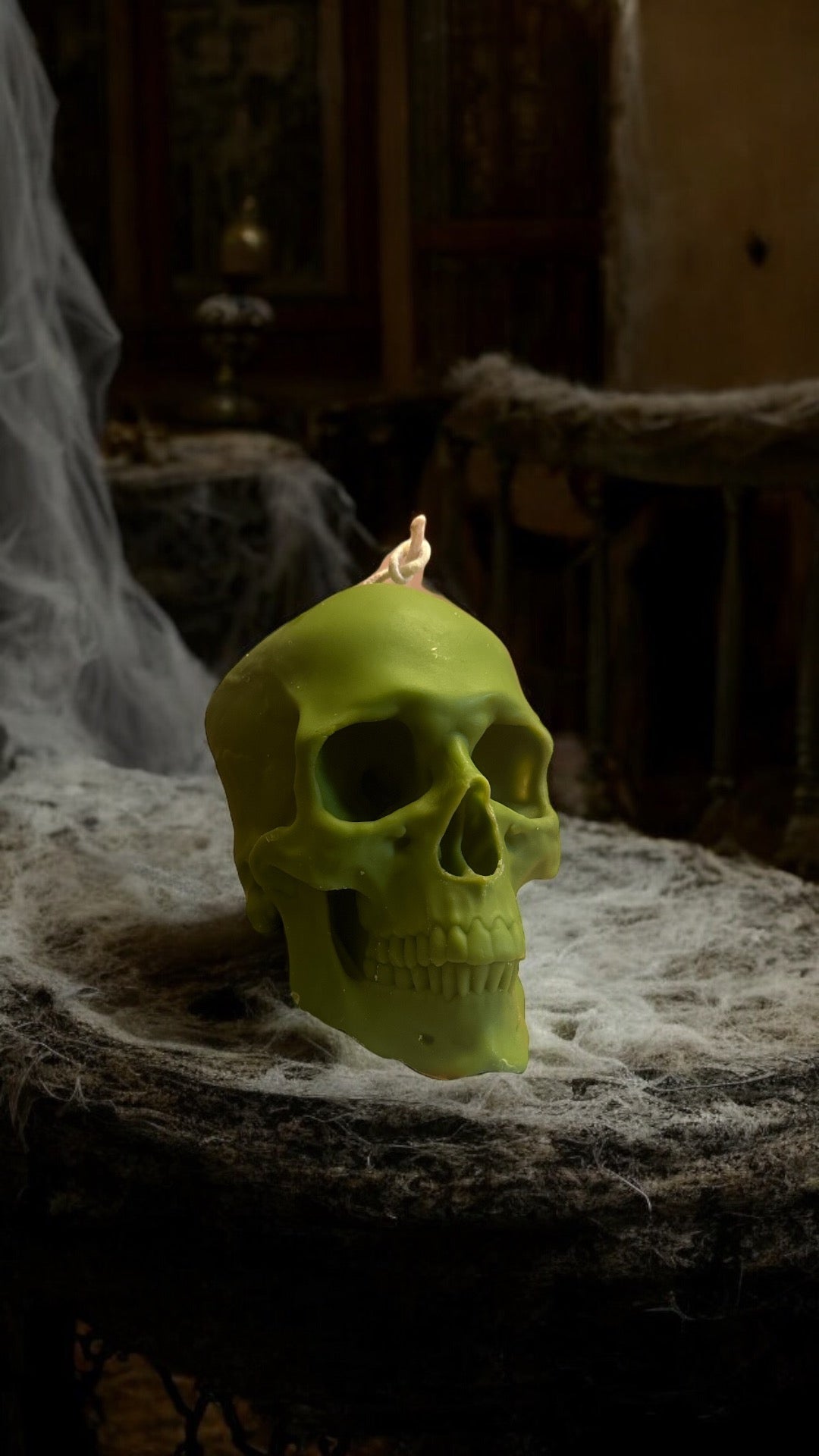 Skull Life size