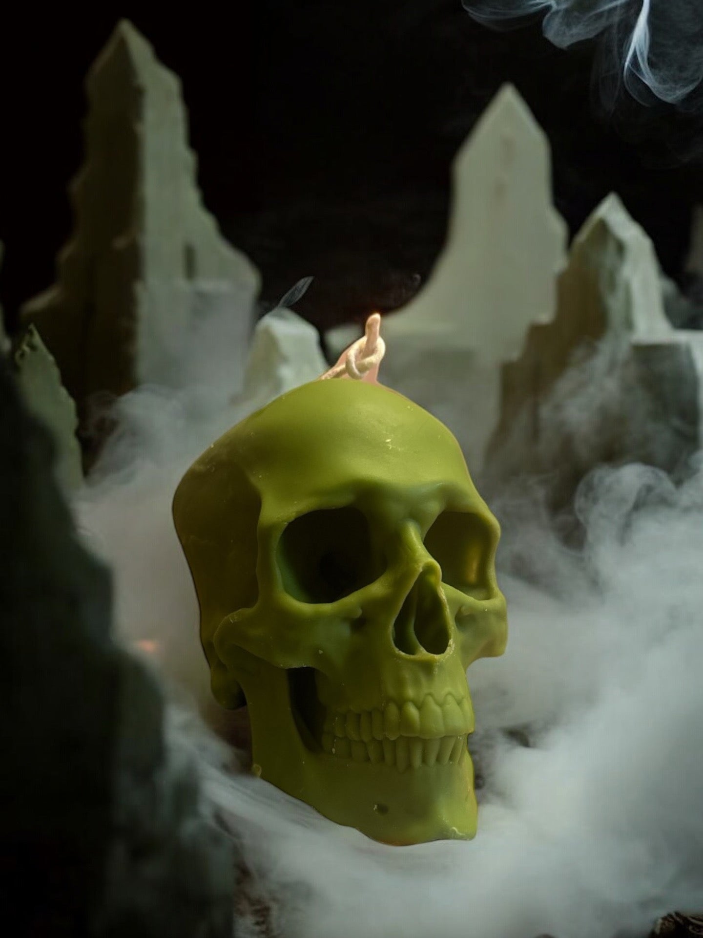 Skull Life size