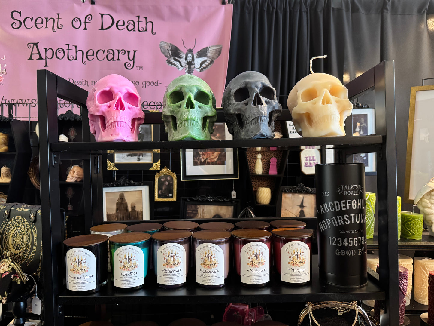 Skull Life size