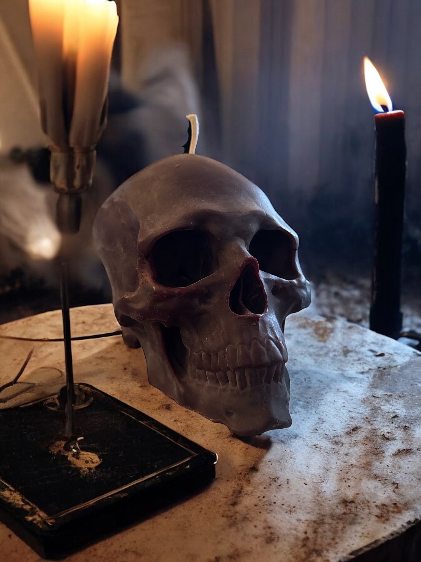 Skull Life size