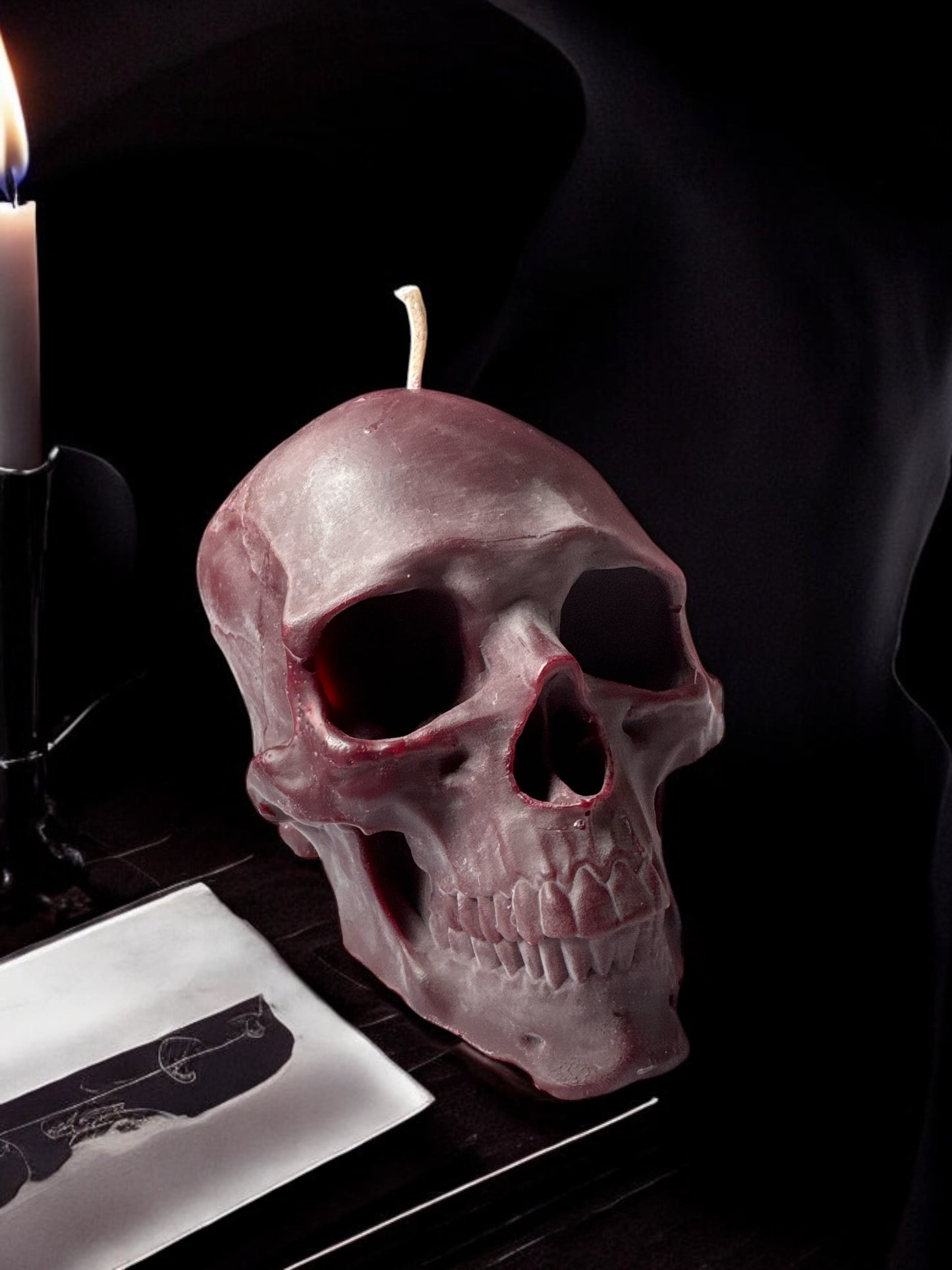 Skull Life size
