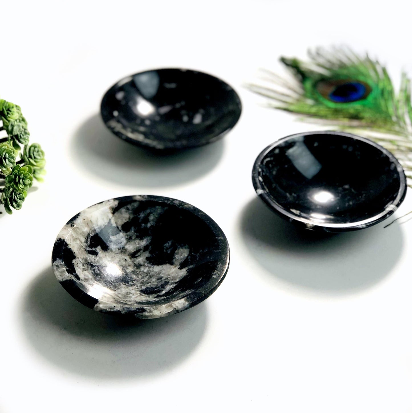 Orthoceras Polished Bowl - Small 10CM (RK6A-63)