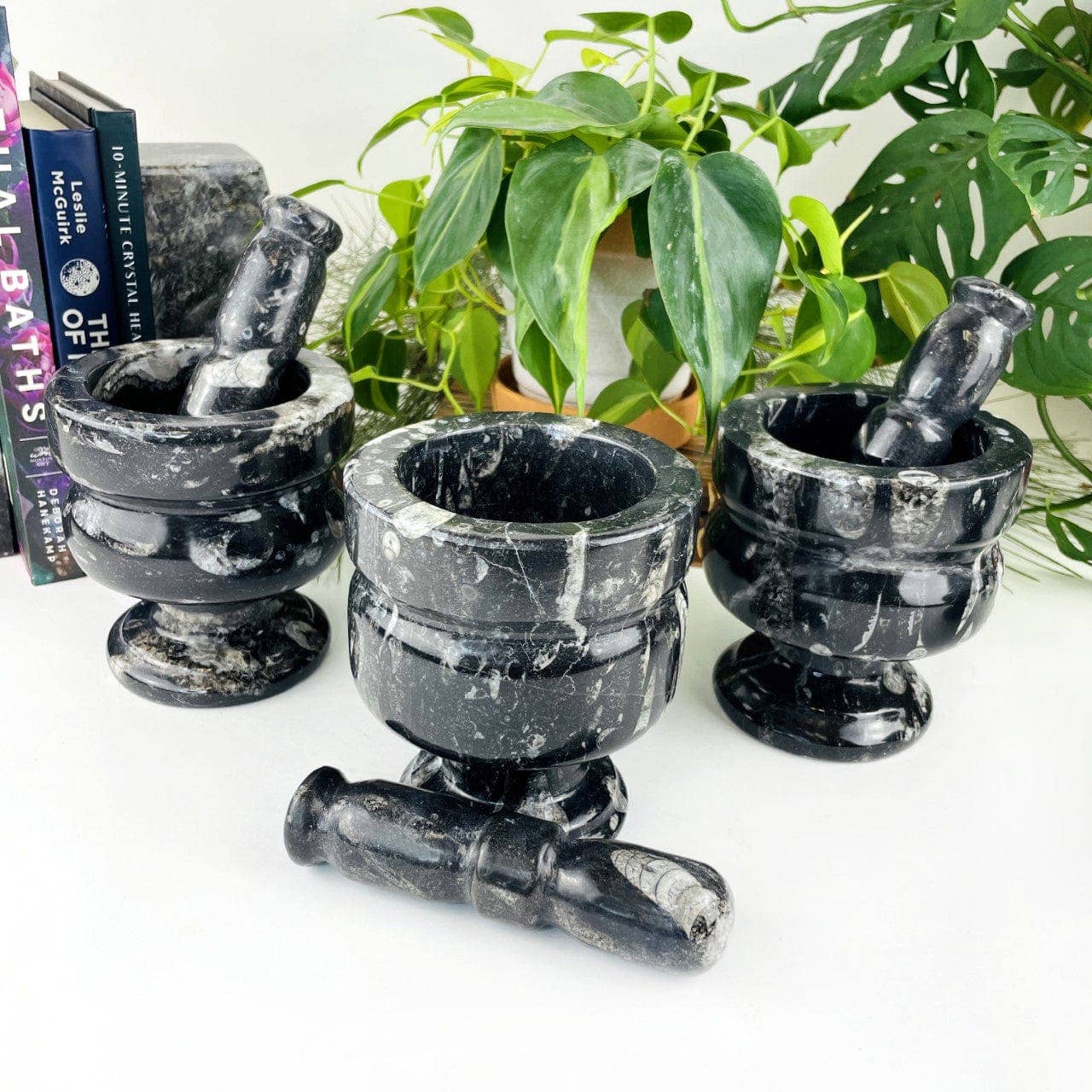 Orthoceras Fossil Mortar and Pestle