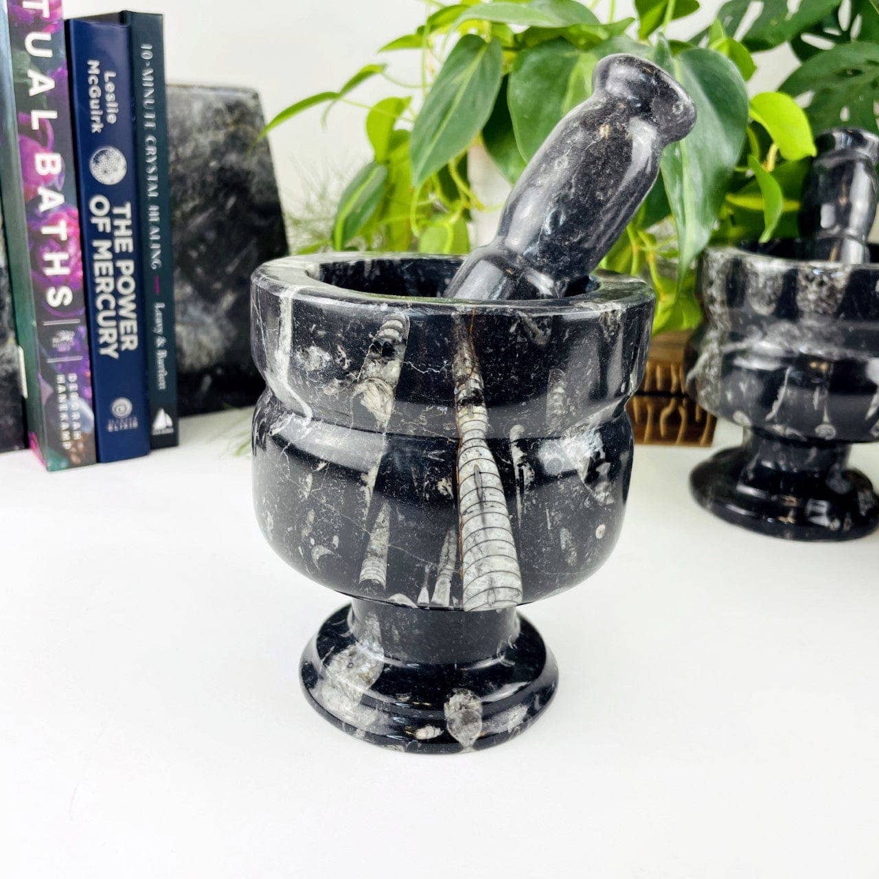 Orthoceras Fossil Mortar and Pestle