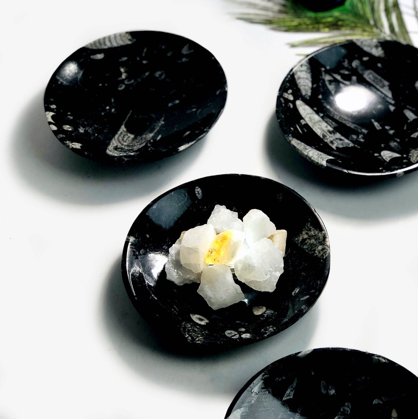 Crystal Orthoceras Polished Bowl - Large (RK6A-75)