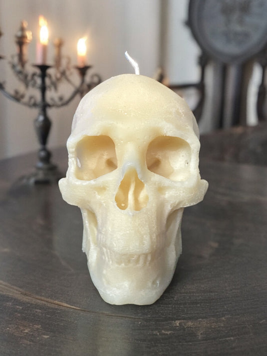 Photoroom_20240618_093843 2.JPG