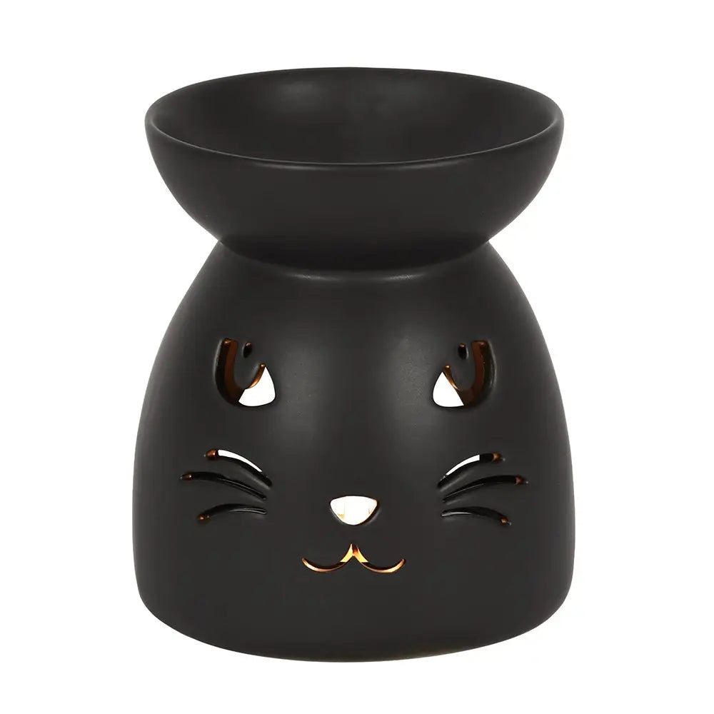 cat 2.webp