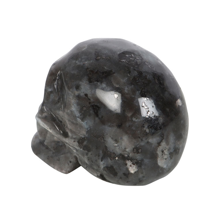 l skull 4.jpeg
