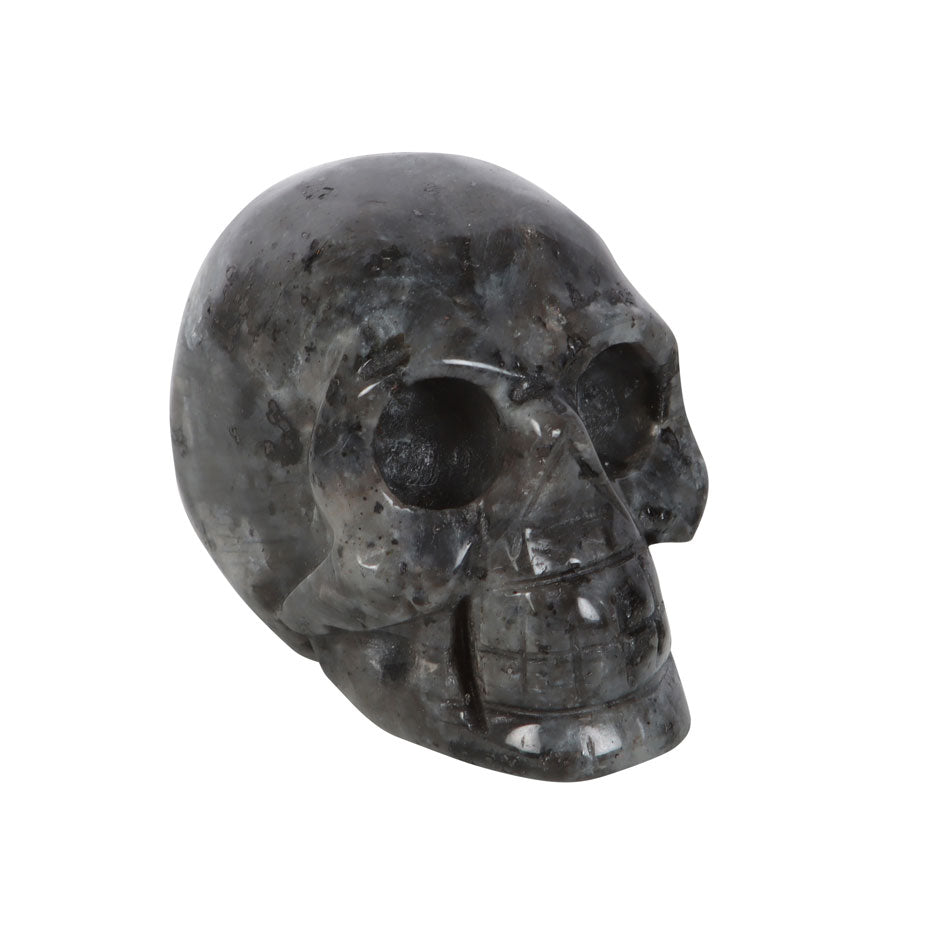 l skull3.jpeg