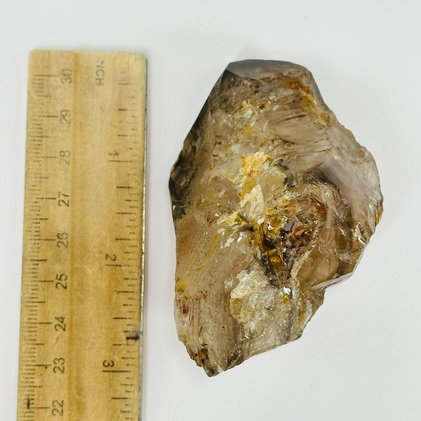 Alligator Smokey Quartz Crystal Cluster Natural Stone