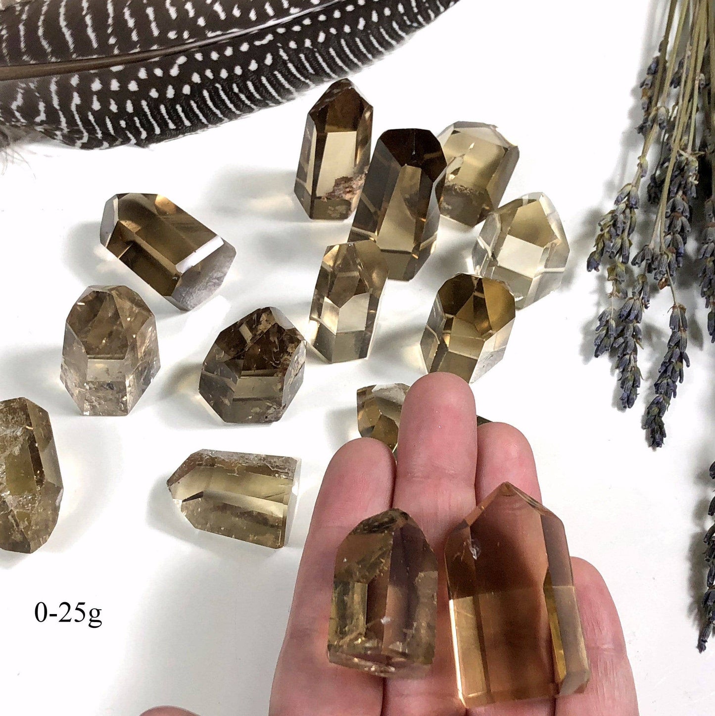 Polished Natural Citrine Crystal Points  (EX-101)