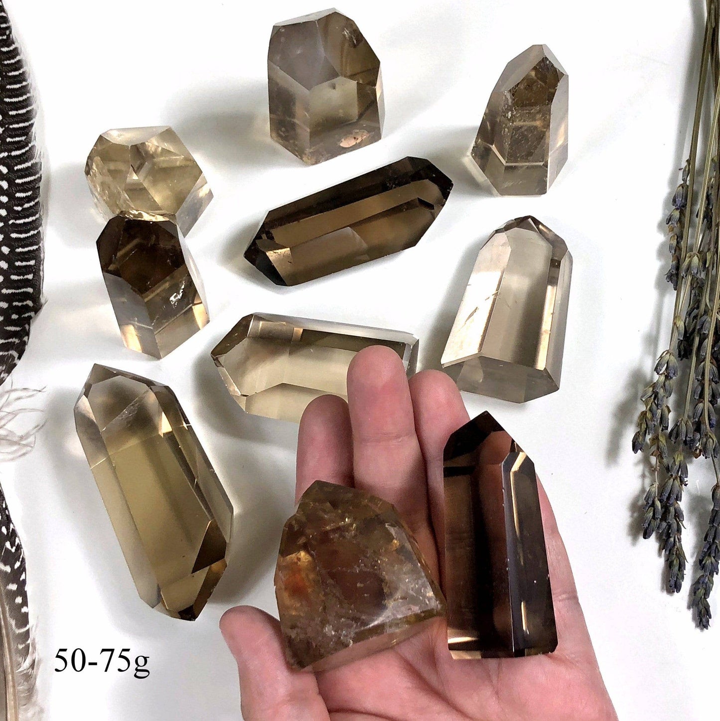 Polished Natural Citrine Crystal Points  (EX-101)
