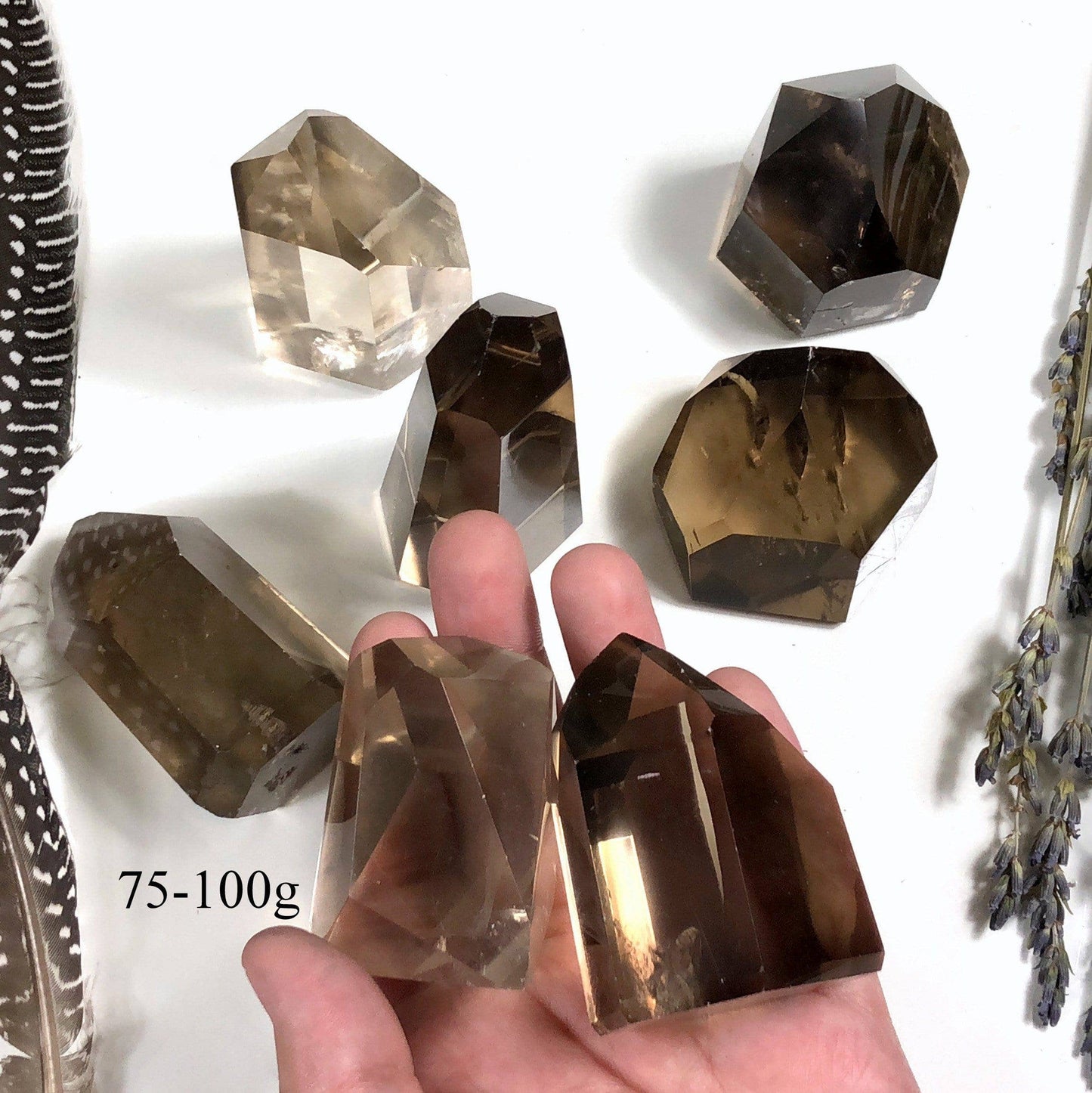 Polished Natural Citrine Crystal Points  (EX-101)