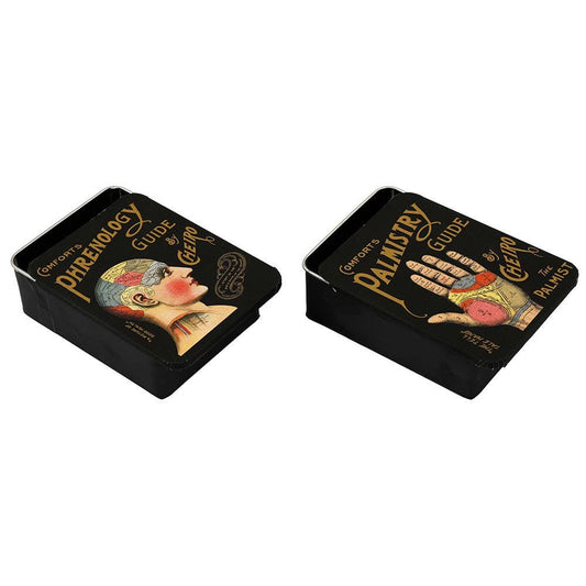 12cm Phrenology Sliding Tin