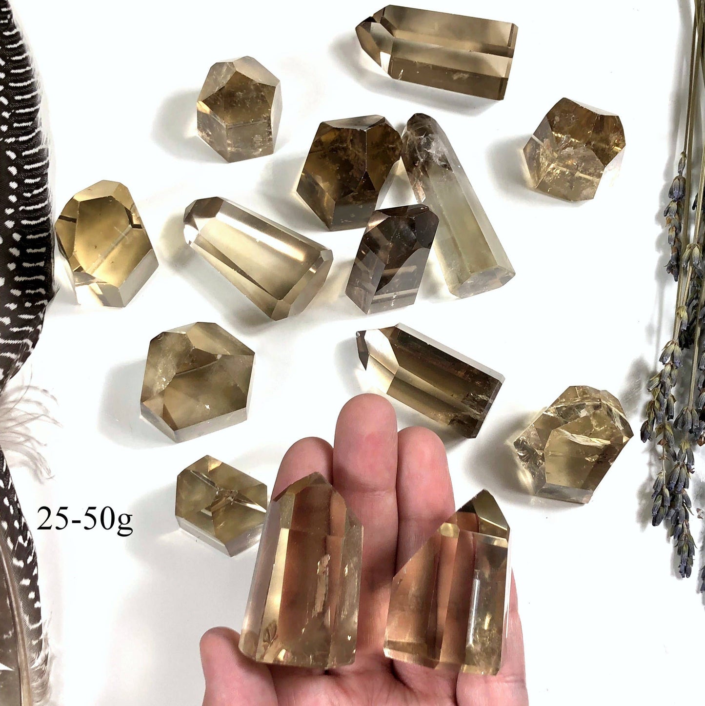 Polished Natural Citrine Crystal Points  (EX-101)