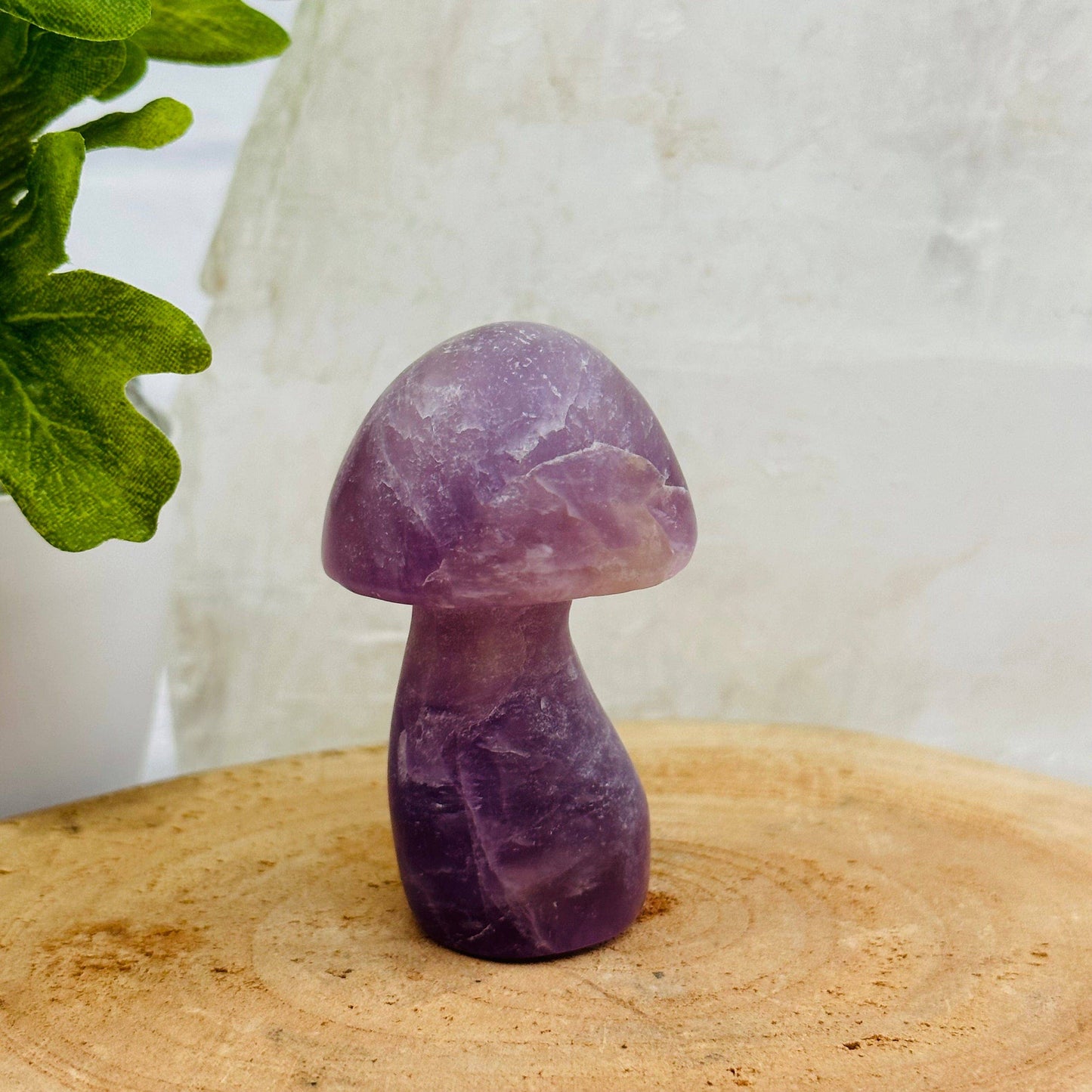 Crystal Gemstone Mushrooms Carving - You Choose Stone