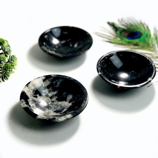 Orthoceras Polished Bowl - Small 10CM (RK6A-63)