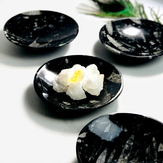 Crystal Orthoceras Polished Bowl - Large (RK6A-75)