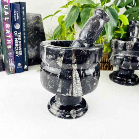 Orthoceras Fossil Mortar and Pestle